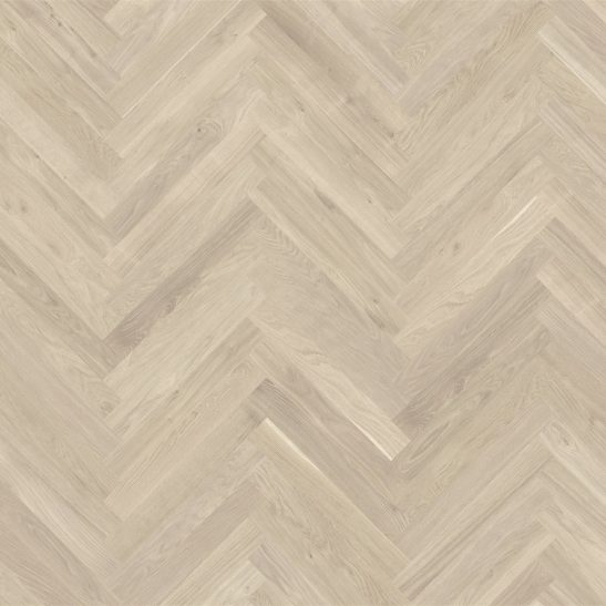 Actus 3.0 Colourline