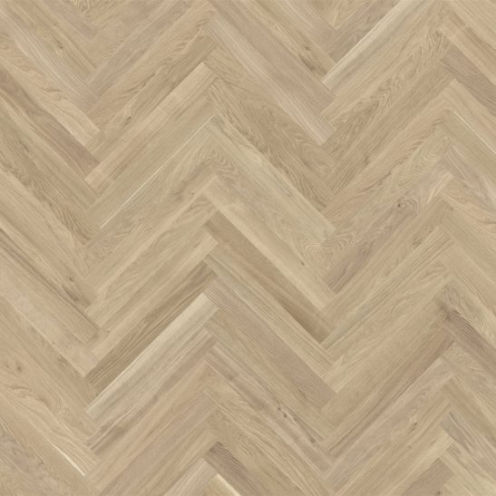 Actus 3.0 Colourline