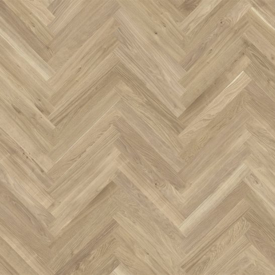 Actus 3.0 Colourline