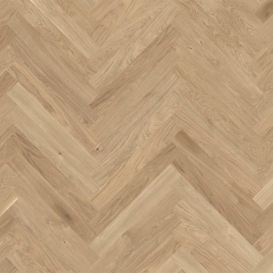 Actus Emocion 4.0 Colourline