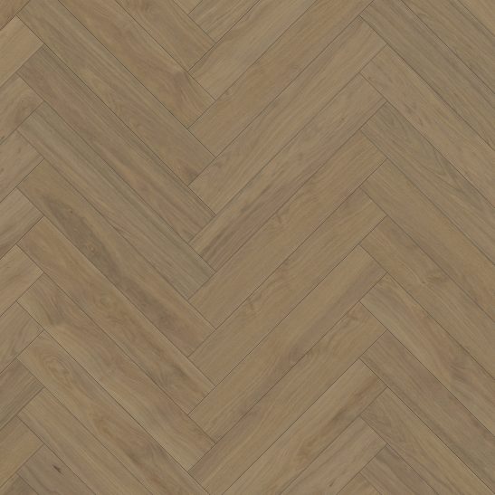 B:hard modern Colourline